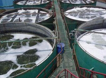 ���̰���